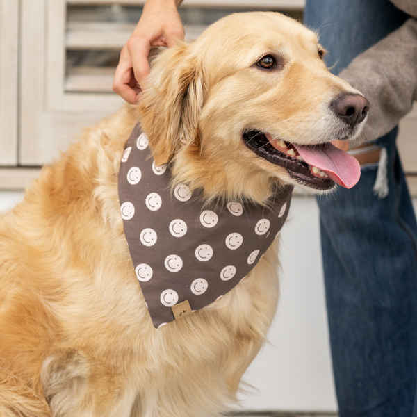 happy days dog bandana