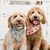 game day - pink zone dog bandana