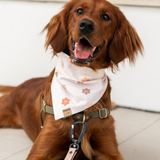 penny lane dog bandana