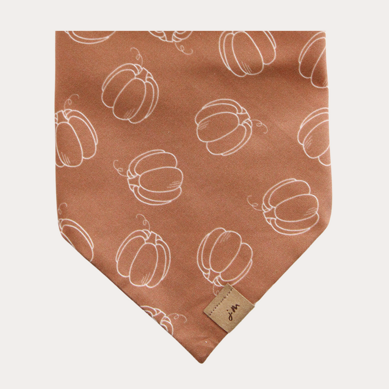 pumpkin season dog bandana