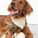 moss gingham dog bandana
