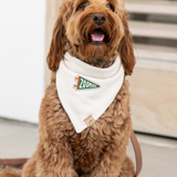 zoomies - ivory waffle knit dog bandana