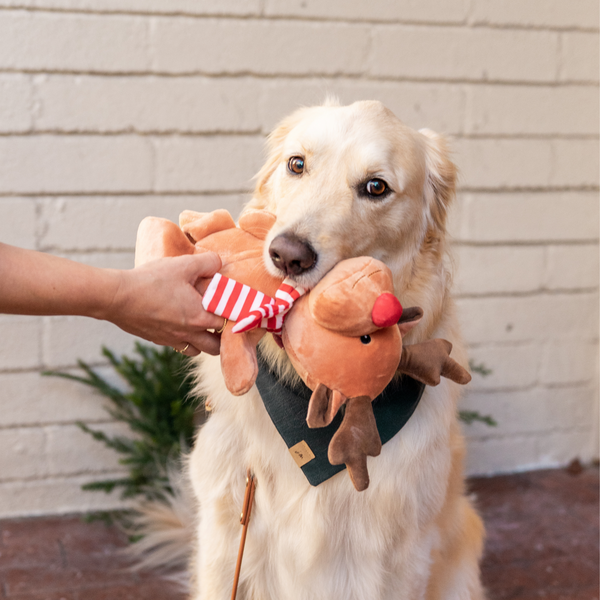 reindeer dog toy
