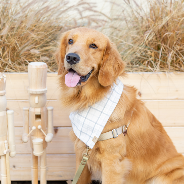 frosty flannel dog bandana