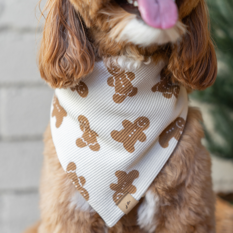 gingerbread man dog bandana