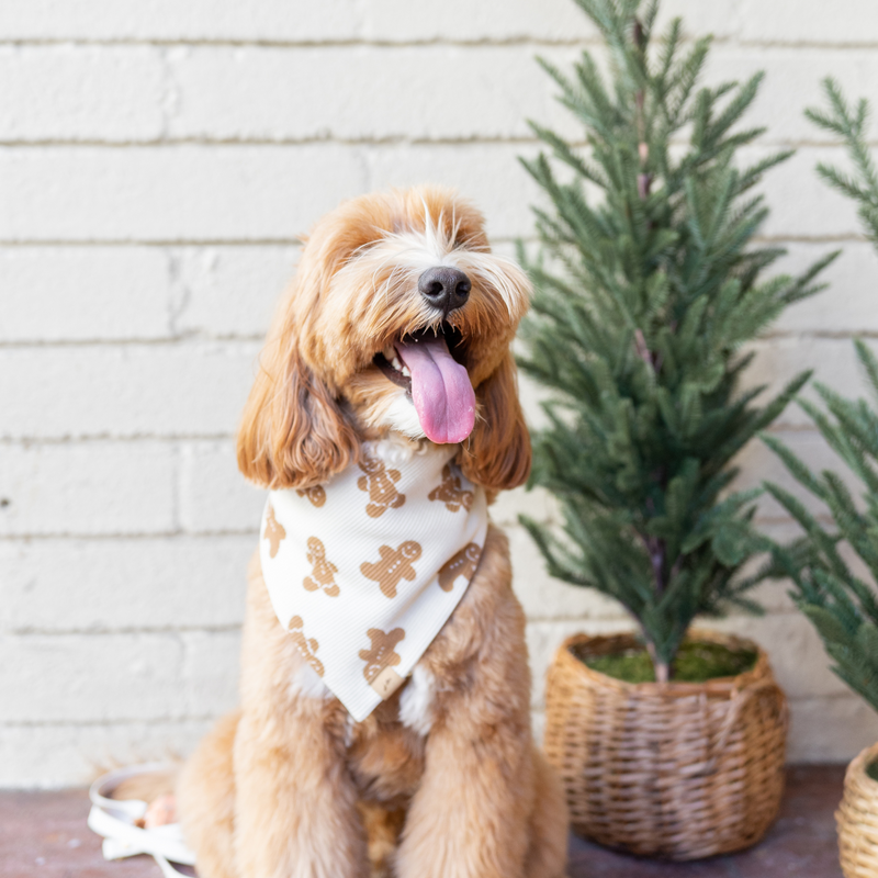 gingerbread man dog bandana