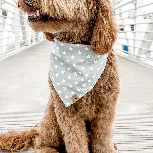 liberty stars dog bandana