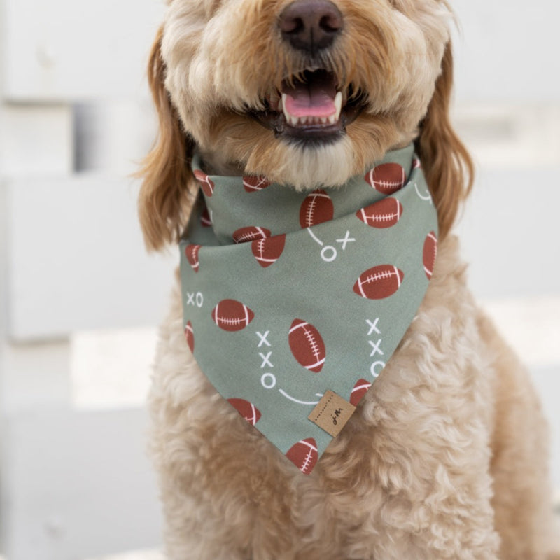 game day - punter green dog bandana
