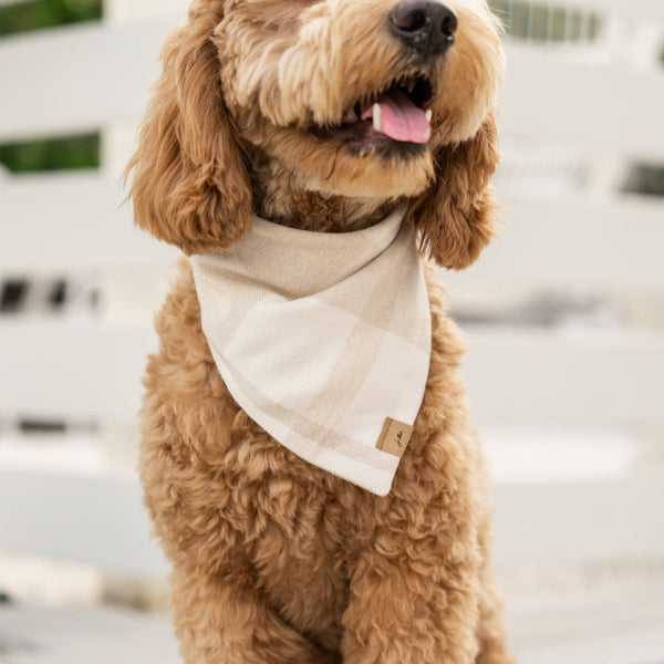 vanilla latte flannel dog bandana
