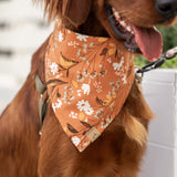 sienna floral dog bandana