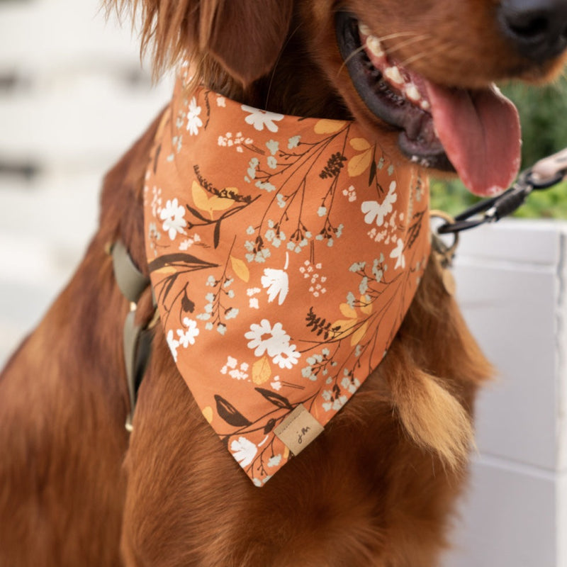 sienna floral dog bandana