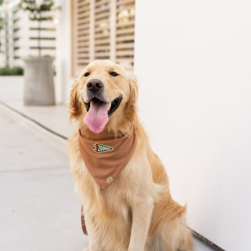 zoomies - clay waffle knit dog bandana