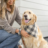haystack flannel dog bandana
