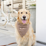 treat yo self dog bandana