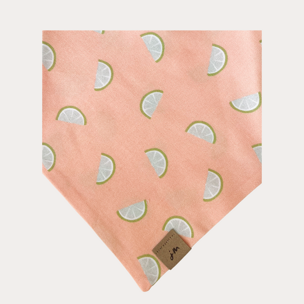 main squeeze dog bandana