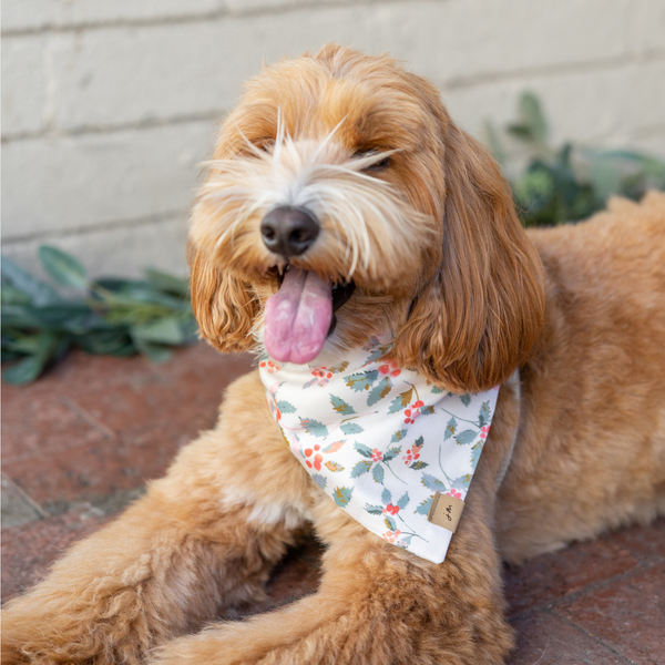 mistletoe dog bandana