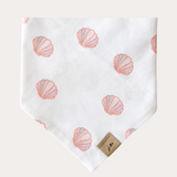 seashells