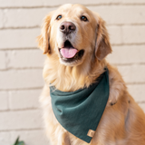 spruce linen dog bandana