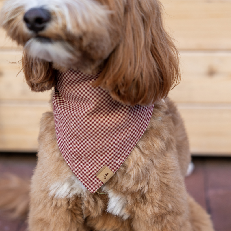 st. nick dog bandana