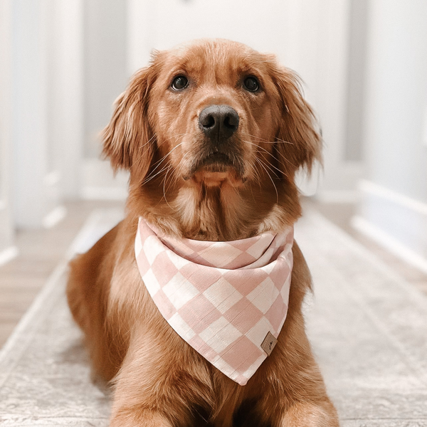 lilac magic dog bandana