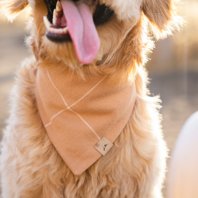 salted caramel flannel dog bandana