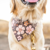 mocha floral dog bandana