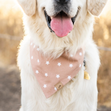 star gaze dog bandana
