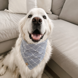 carolina plaid dog bandana
