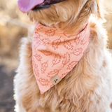 falling leaves dog bandana