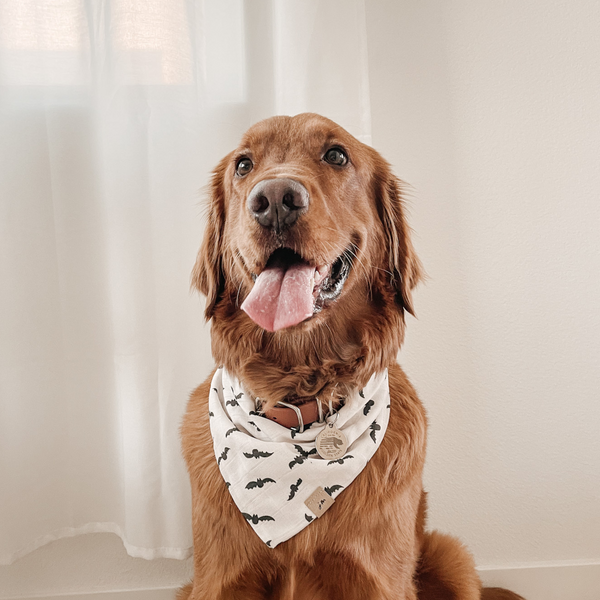 bat to the bone dog bandana