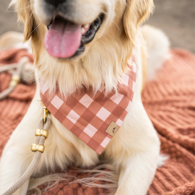 fireside flannel dog bandana
