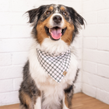 evergreen gingham dog bandana