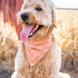 falling leaves dog bandana
