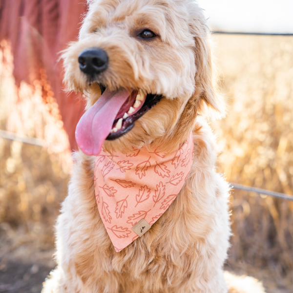 falling leaves dog bandana