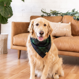 fraser fir flannel dog bandana