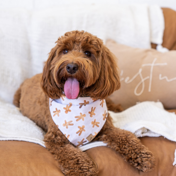gingerbread dog bandana