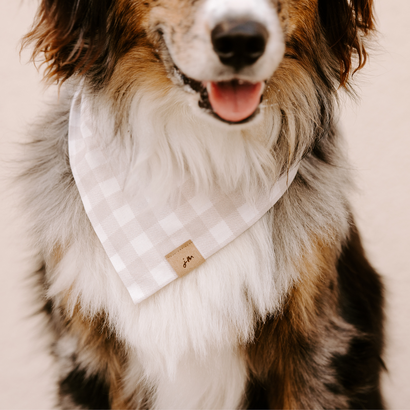 gloomy gingham dog bandana