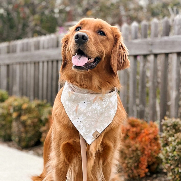 hop to it dog bandana