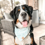 laguna dog bandana