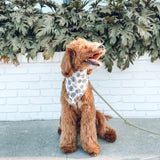 palm beach dog bandana