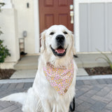 peonies dog bandana