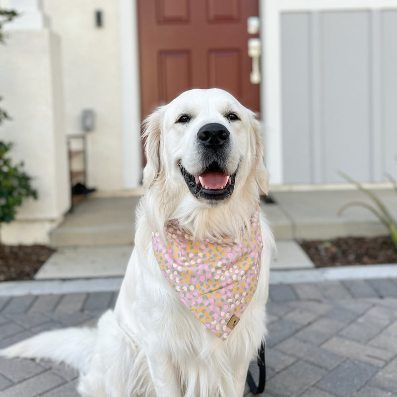 peonies dog bandana