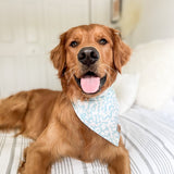 laguna dog bandana
