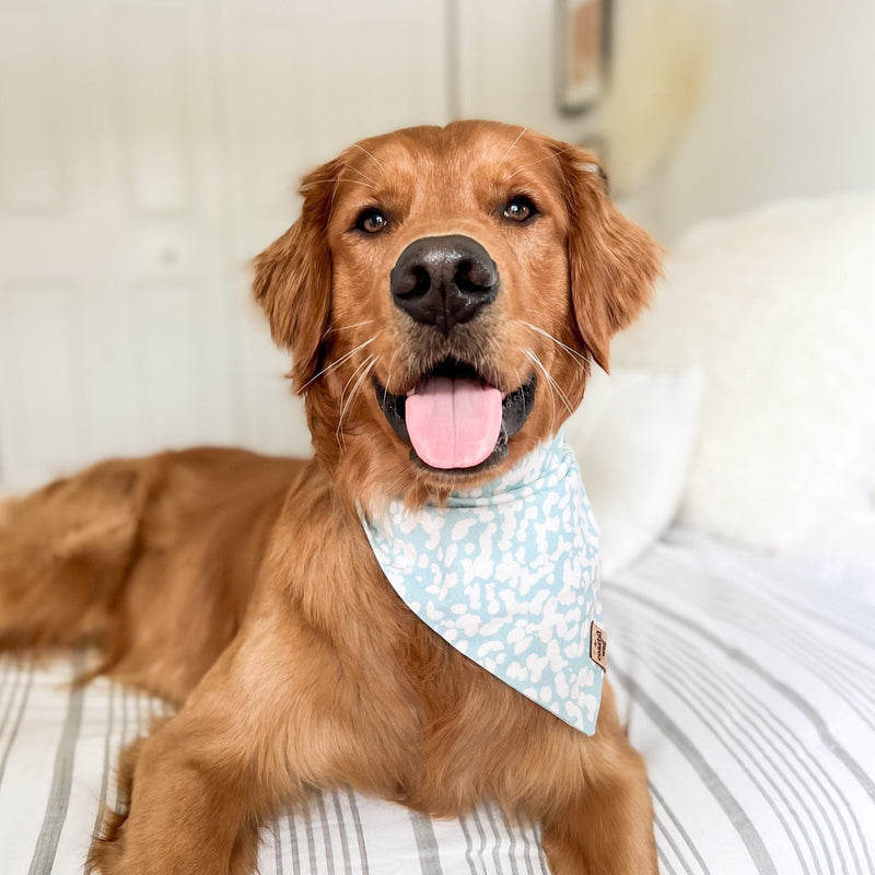 laguna dog bandana