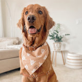 the shaka dog bandana