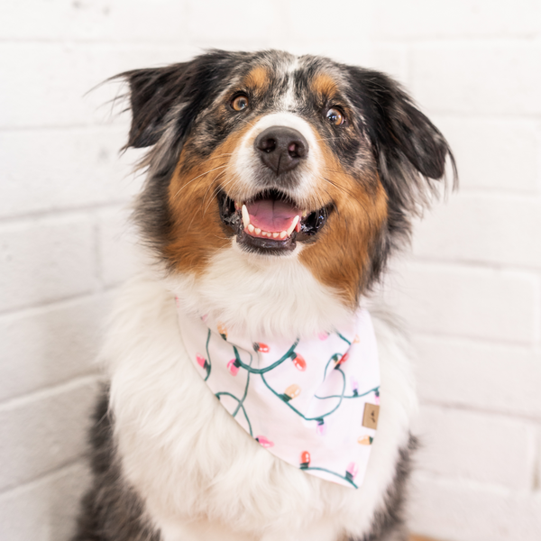 merry and bright dog bandana