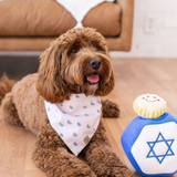 hanukkah burrow dog toy