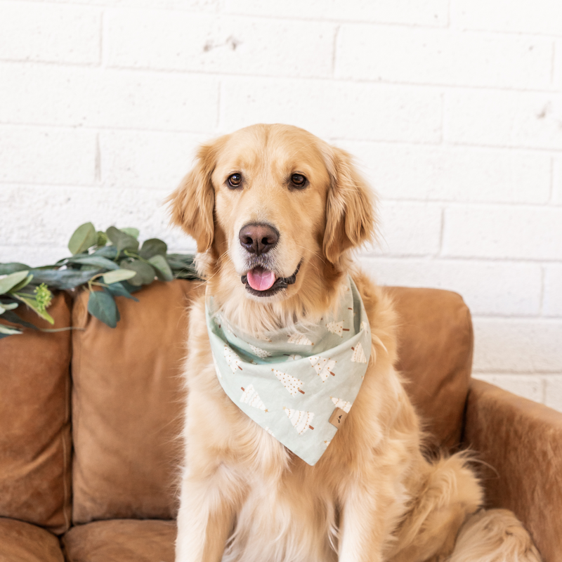 mint forest dog bandana