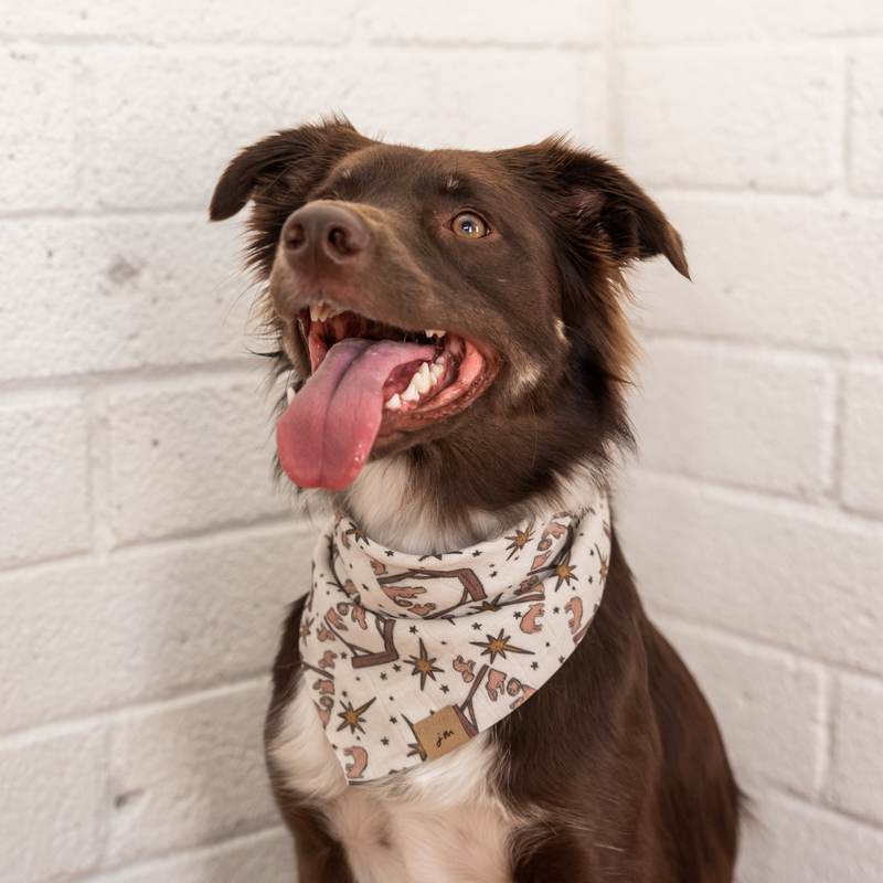 nativity dog bandana