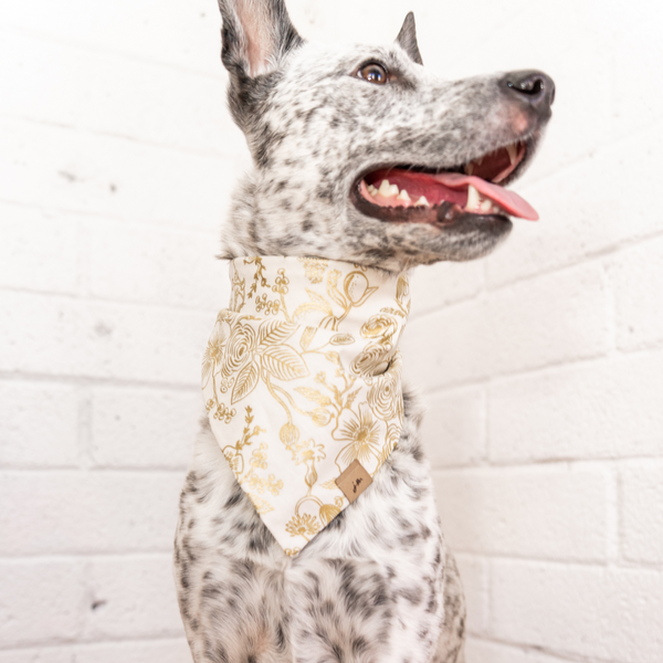 noel dog bandana